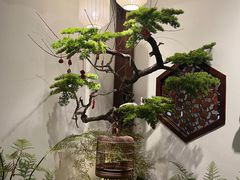 -蘭奢雅集·江浙菜(青山江滩店)