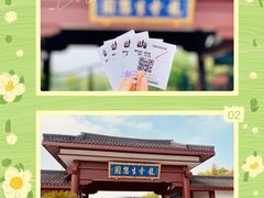 -龙寺生态园
