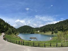 -武陵山森林公园
