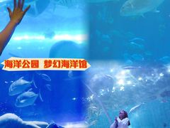 -华夏文旅西安度假区