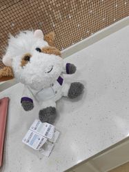 -上海首尔丽格医疗美容医院