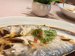 红蒸鲜鲥鱼-名豪品鲜荟(云亭店)