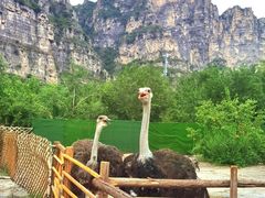 -十渡东湖港风景区