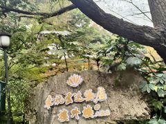 -东航云逸酒店(九溪烟树店)
