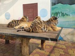 -大连森林动物园