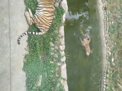 -西安秦岭野生动物园