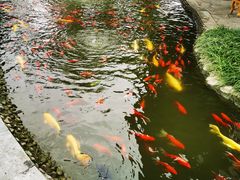 -成飞公园