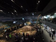 -自贡恐龙博物馆