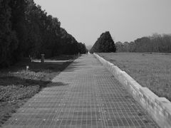 -秦始皇帝陵博物院-丽山园