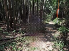 -会稽山峡洞漂流-上青古道