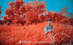 -欧扬医疗美容