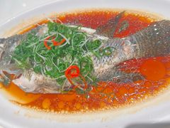 -新雅粤菜馆(南京东路店)