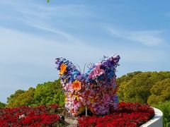 -上海鲜花港