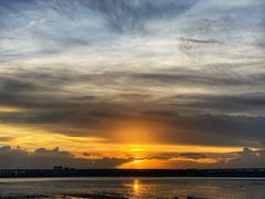 -宝安西湾红树林湿地公园