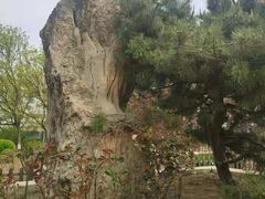 -丰台花园