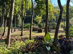 -云溪植物园