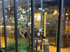 -拈菜(观音桥阳光世纪店)