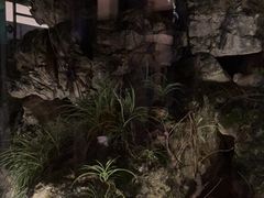 -大妙火锅·非物质文化遗产(东湖公园店)