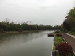 -上海海湾国家森林公园