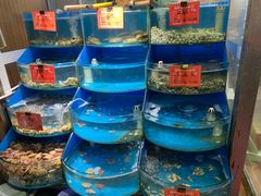 -北戴河庆山饭店·海鲜砂锅粥(北戴河黑石路店)
