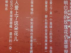 -爱情邮局