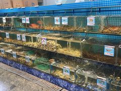 水产区-范饭椰林川湘味海鲜·椰子鸡(三亚湾椰梦长廊店)