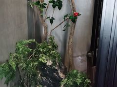 -贝勒爷·酥不腻烤鸭