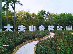 -番禺大夫山森林公园