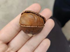 -薛记炒货(文化东店)