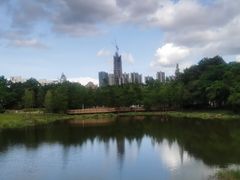 -莲花山公园