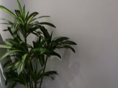 -山也·私厨(岳麓店)
