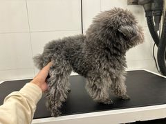 -comecome来吧宠物(奥克斯中心店)