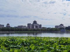 -莲花池公园