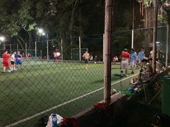 -金花茶公园
