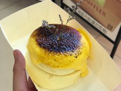 -狐狸和向日葵(北京路店)