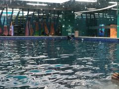 -Swim斯卫姆国际儿童游泳中心(红博中央公园店)