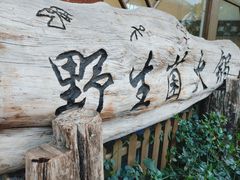 -香香腊排骨.野生菌火塘总店(束河店)