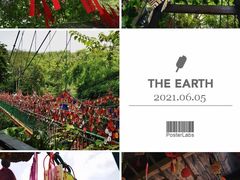 -西双版纳原始森林公园