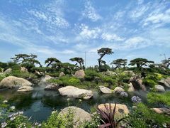 -罗红摄影艺术馆