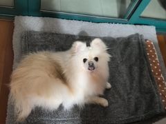 -和它·交个朋友·狗咖猫咖(爱琴海店)