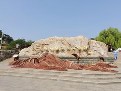 -北京西山国家森林公园