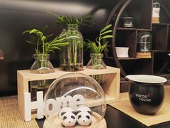 -熊猫屋(宽窄巷子景区店)