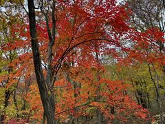 -本溪老边沟风景区