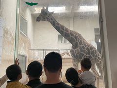 -成都动物园