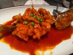 -新白鹿餐厅(松江开元地中海店)