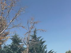 -济南国际园博园