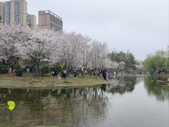 -堤角公园