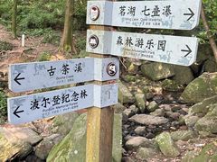 -波尔登森林公园