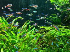 -上海海洋水族馆