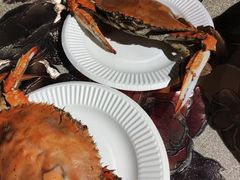-新疆儿子娃娃餐厅(锦华街店)